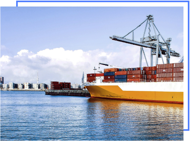 custom_section_1770357101812